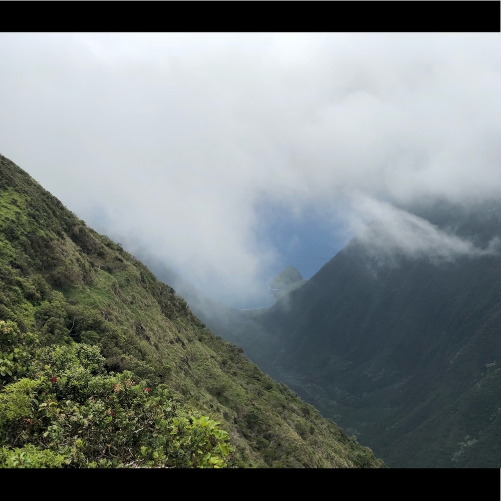 Meet your Posher, Pualani